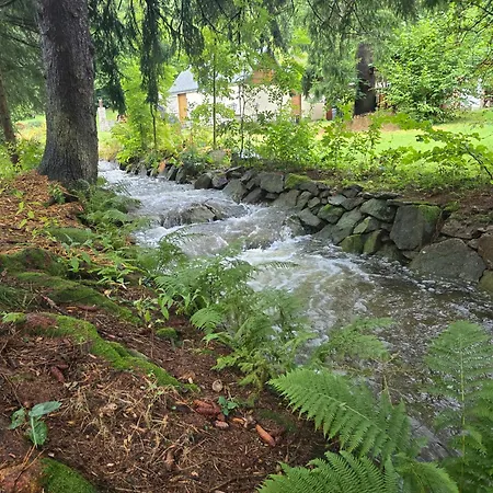 Garden Depandance Am Bach 3* Altenberg (Osterzgebirge)