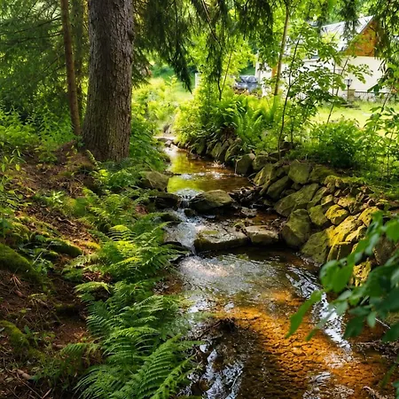 Garden Depandance Am Bach Hotell Altenberg (Osterzgebirge)